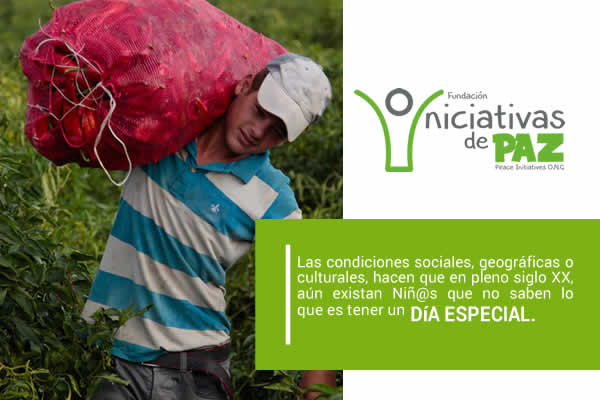 Causas Fundación - Donaciones